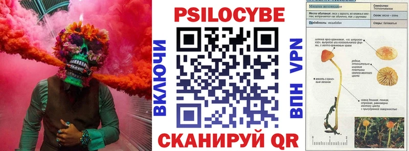 Псилоцибиновые грибы Psilocybe  Урус-Мартан 